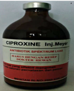 CIPROXINE Inj. MEYER